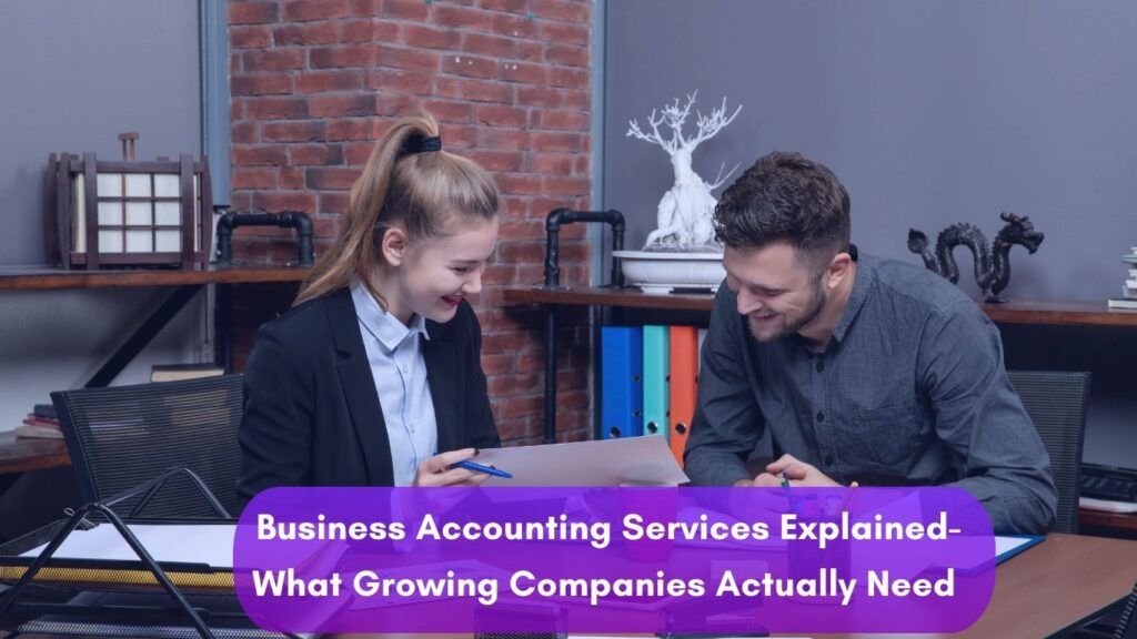 Business Accounting Services Explained- What Growing Companies Actually Need- Alfa Plus CPA